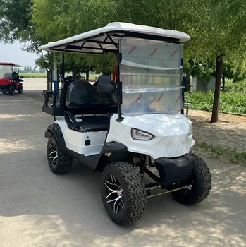 Китайская компания High-end Technology Производит гольф-кары для путешествий по пересеченной местности, чтобы поддерживать индивидуальную настройку для фермерского парка в аэропортах на 2-8 мест